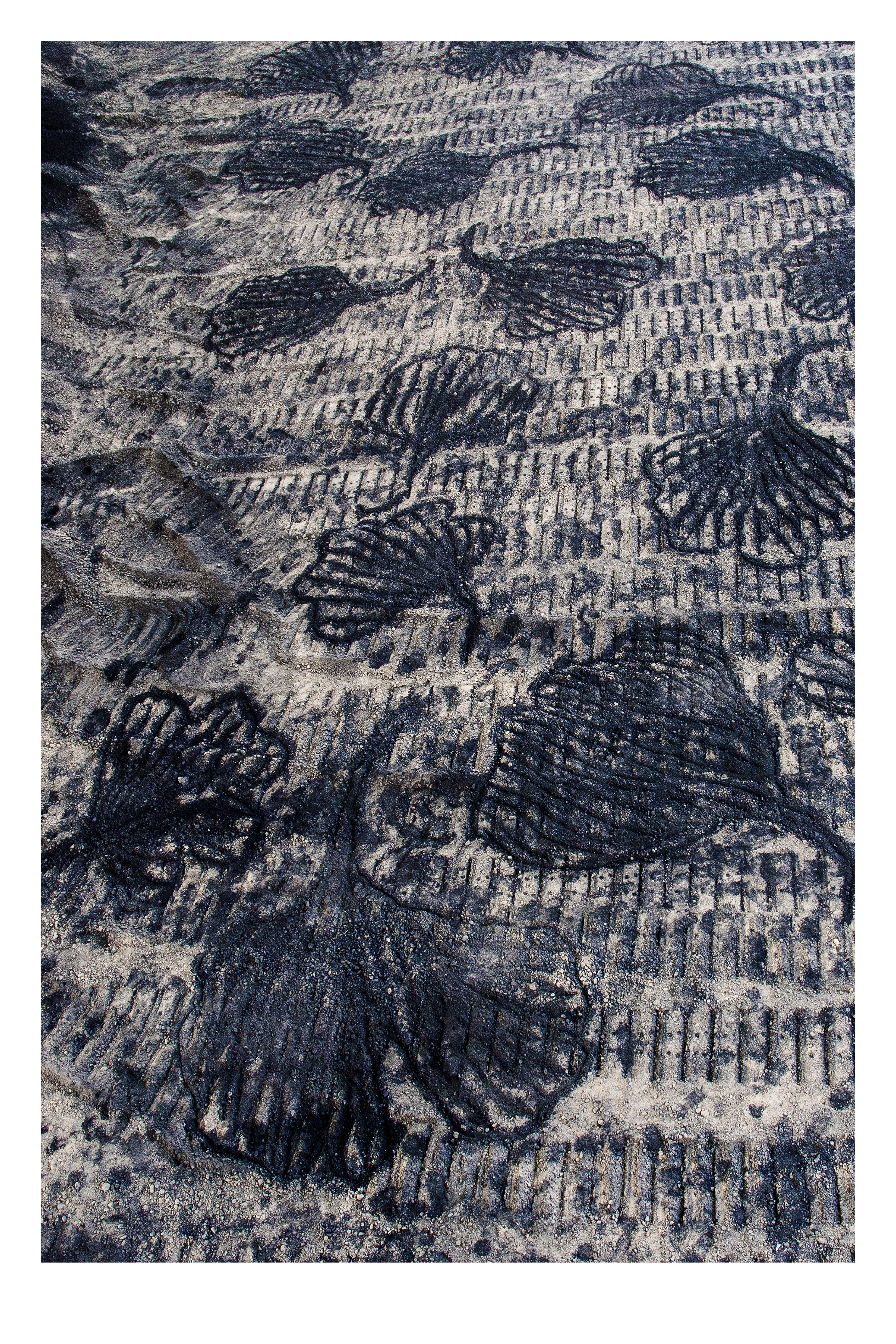 Black line drawings of flaring leaves or blossoms are sketched into a ground covered with stone dust and then bulldozed to create long rows of short parallel lines. The drawn shapes span the track marks like a pattern across the weft and warp of a carpet.