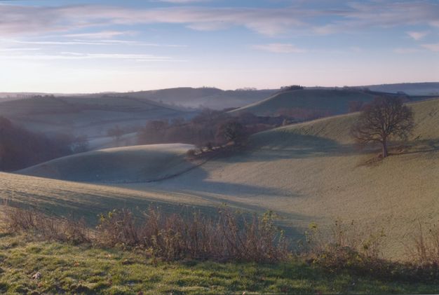 A light haze settles along hills that ripple away from us. Light pouring across the landscape from our left casts long, fog-blue shadows.